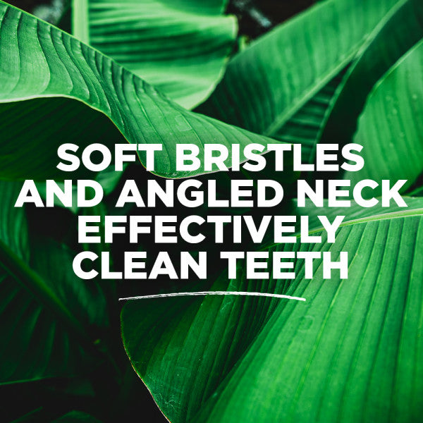 Whole Care Soft Toothbrush - Image 2