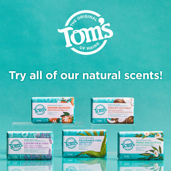 Fragrance Free. Sensitive Skin Natural Beauty Bar Soap (3 Pack) - Image 7