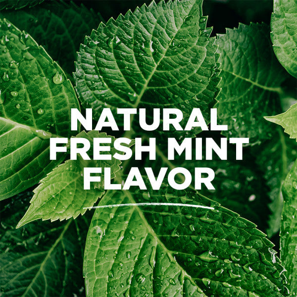 Fresh Mint Whole Care Anticavity Natural Mouthwash - Image 4